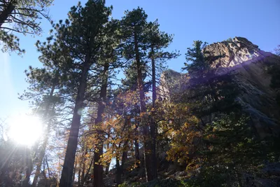 DSC_5157 (Large) (2).JPG